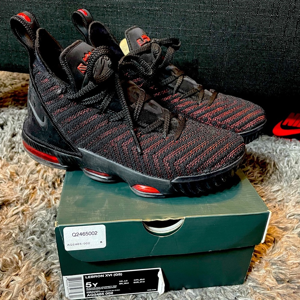Nike Lebron 16